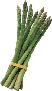 asparagi verdi coltivati
